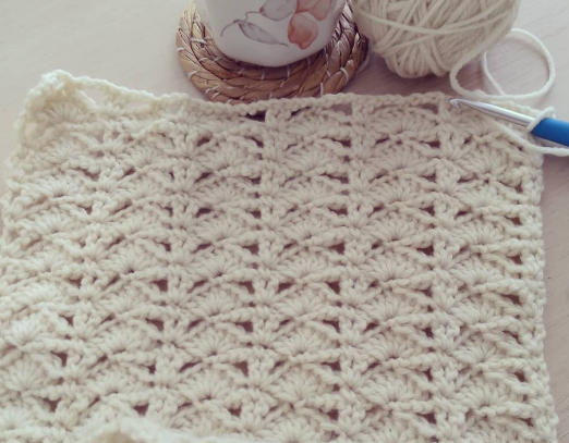 Deniz kabuğu örgü modeli